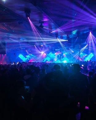 WonkyWilla Asbury Park