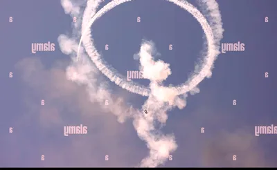Airplane! - Show