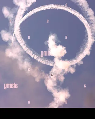 Airplane! with Julie Hagerty and Robert Hays!