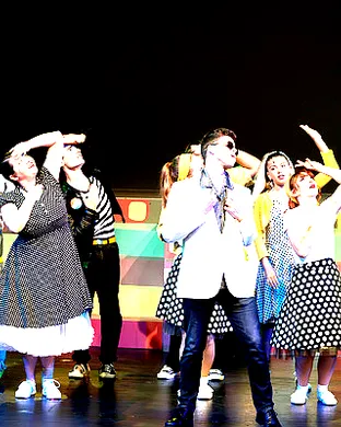 Bye Bye Birdie