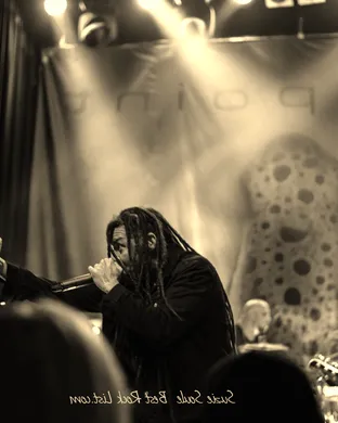 Live concert by Nonpoint