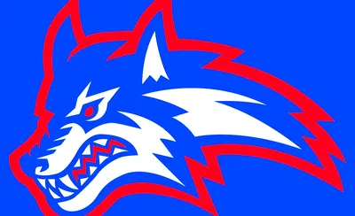 Stony Brook Seawolves