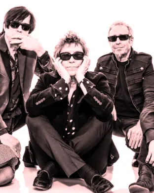 The Psychedelic Furs & Living Colour