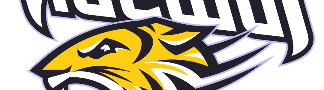 Towson Tigers