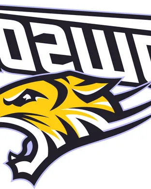 Towson Tigers